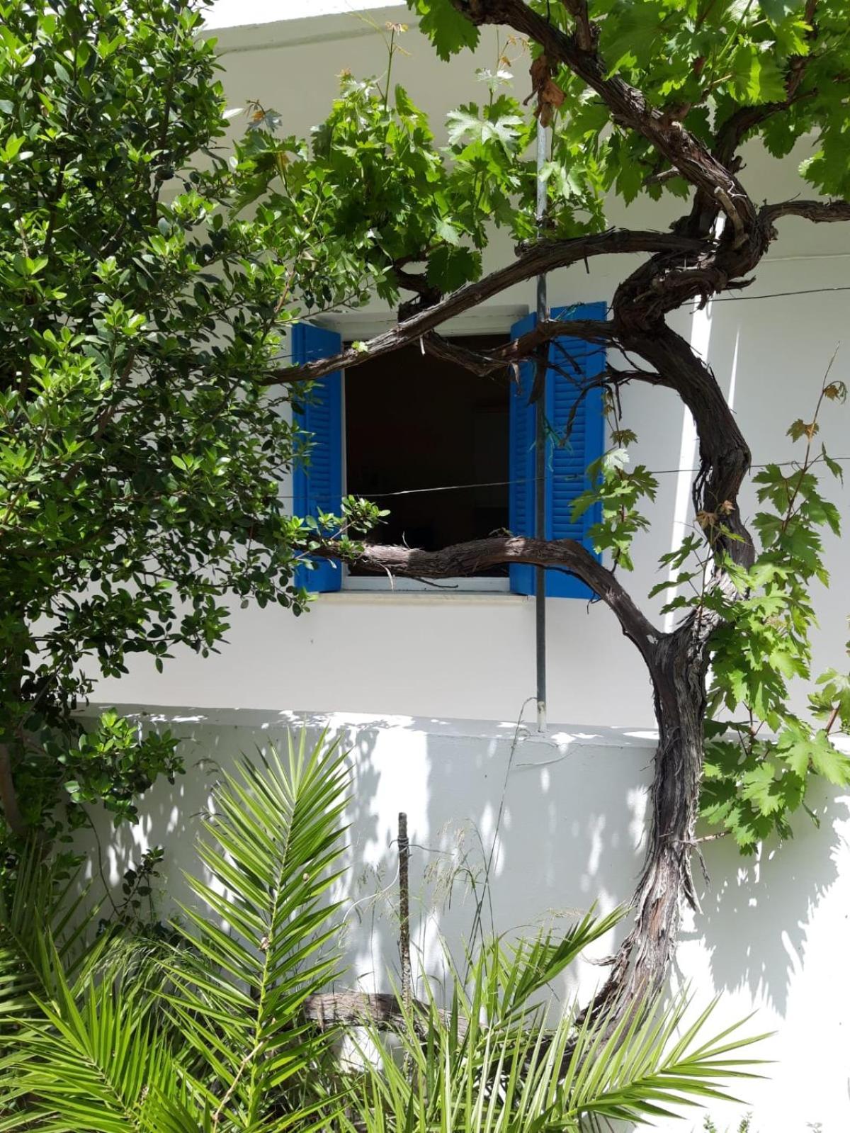 Hotel Neos Matala エクステリア 写真